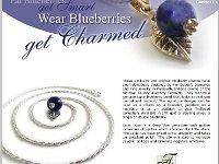 blueberrycharm  Selling Blueberrycharm Jewelry - Selling blueberry charm jewelry